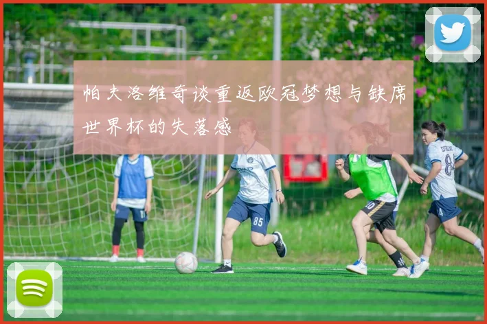 帕夫洛维奇谈重返欧冠梦想与缺席世界杯的失落感